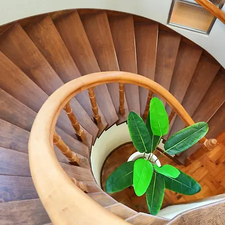 The Gray House בית נופש Bicas